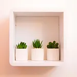 Apartman Silver Tree *