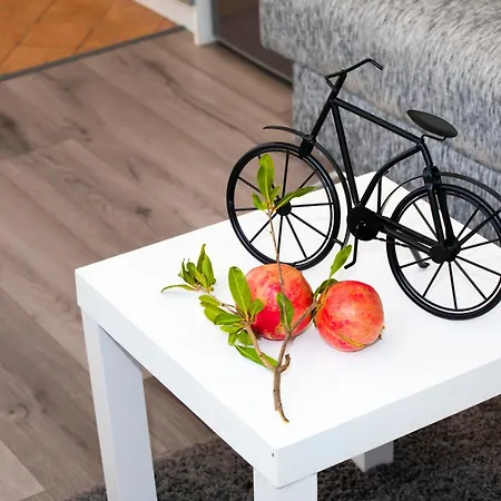 Apartman Silver Tree *