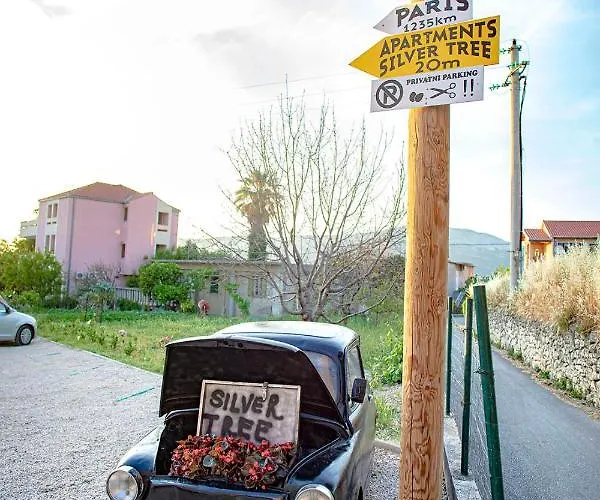 Apartmán Silver Tree Split