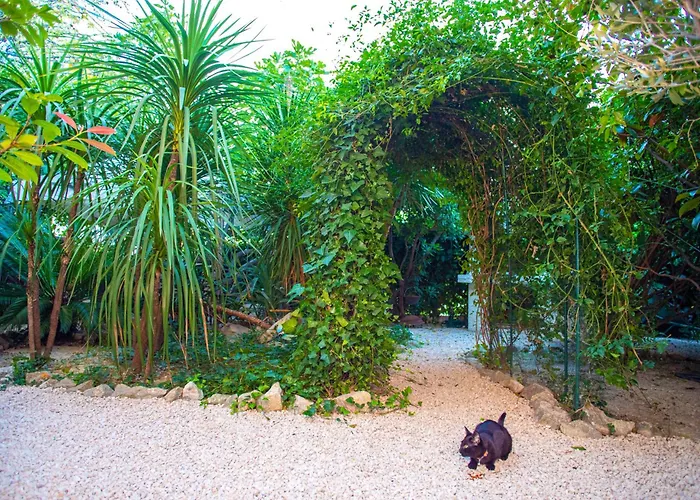 Silver Tree Apartmán